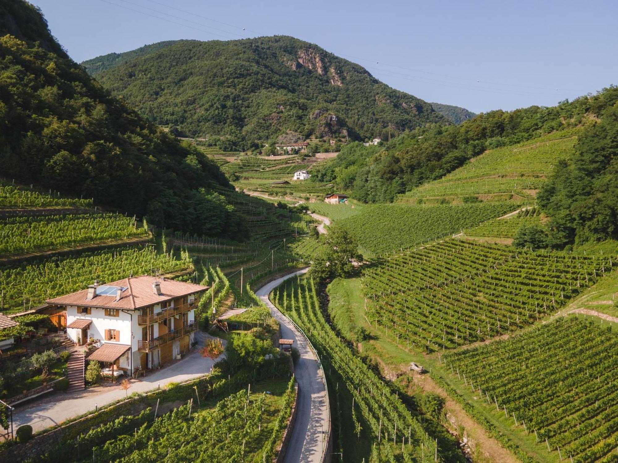 Agriturismo Valfraja Cembra Lisignago Bagian luar foto