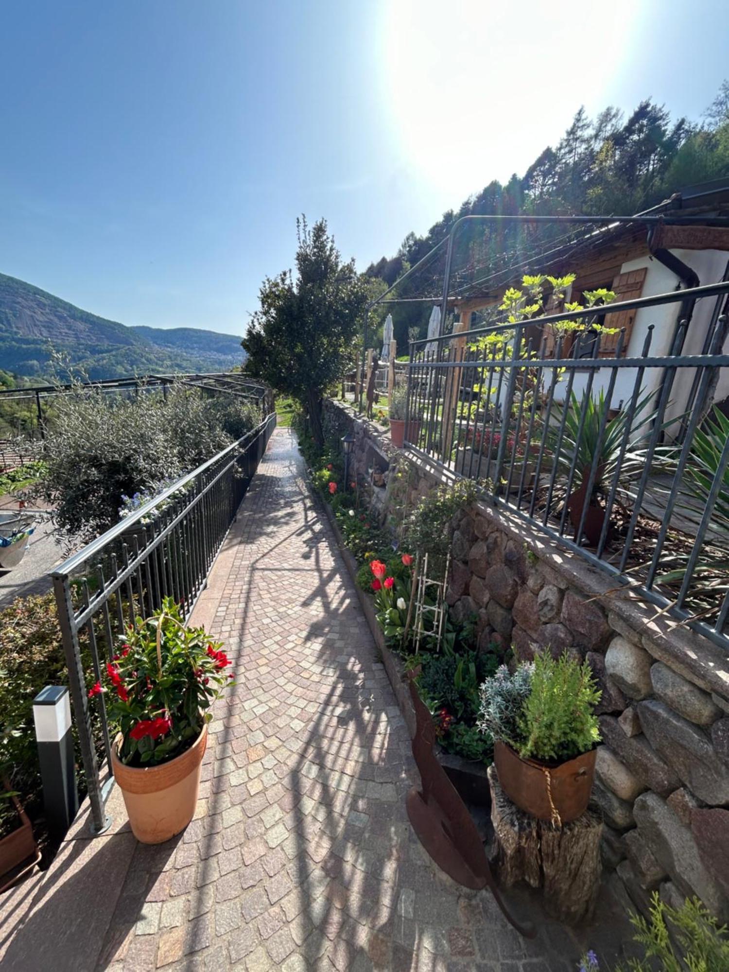 Agriturismo Valfraja Cembra Lisignago Bagian luar foto