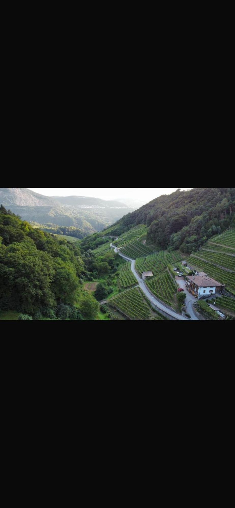 Agriturismo Valfraja Cembra Lisignago Bagian luar foto